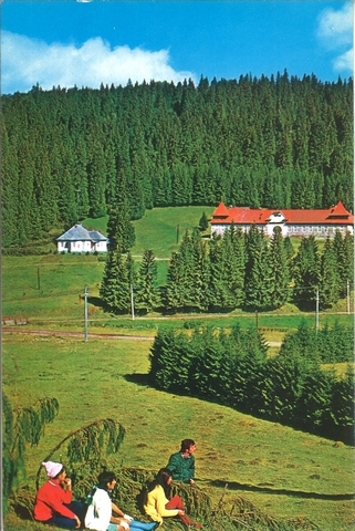 2088-2 - Stâna de Vale